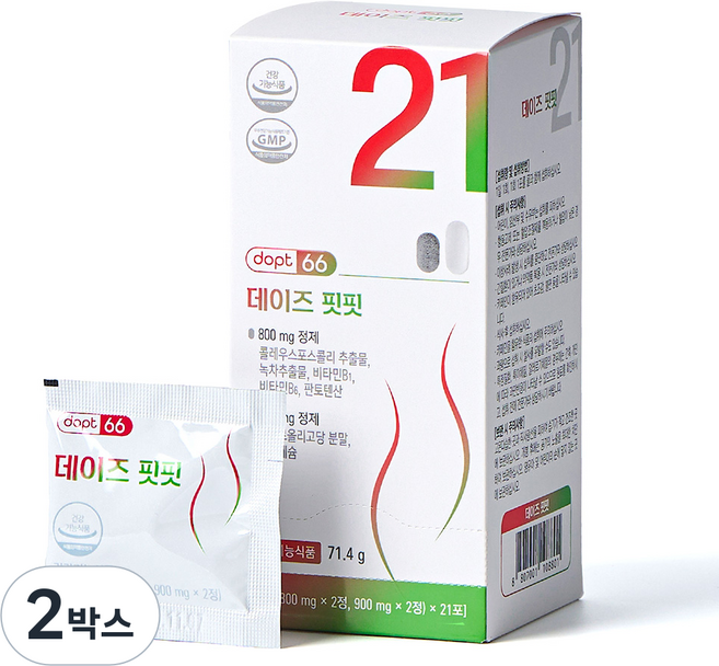 데이즈핏핏 다이어트보조제 콜레우스포스콜리+녹차추출물+자일로올리고당, 2박스, 21회분