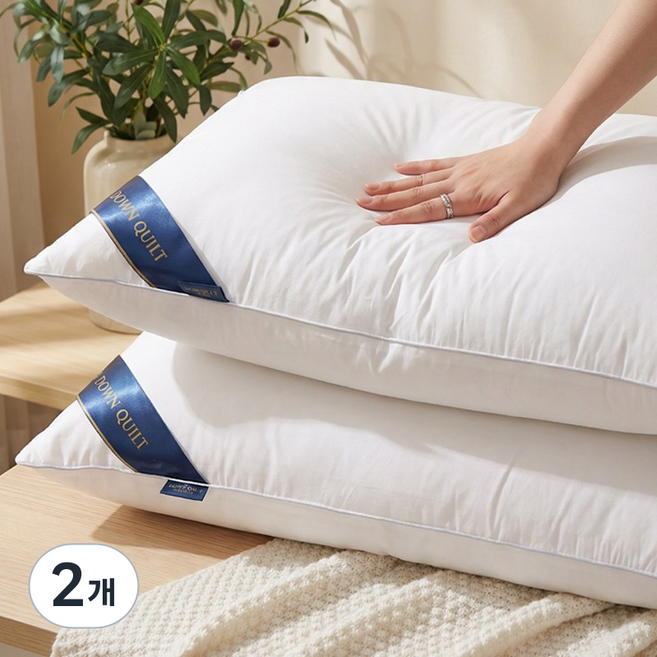 Ahomeone 고중량 빵빵한 호텔 베개 마이크로화이버 항균 진드기방지 빨아쓰는 지퍼형 베개솜, 2개, 흰색