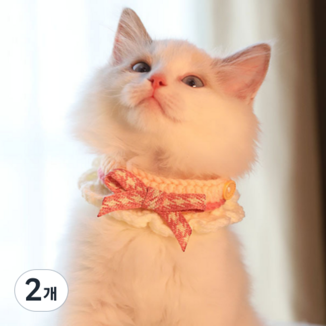 큐앤캐롯 반려동물 핸드메이드 니트 케이프 리본, 핑크, 2개