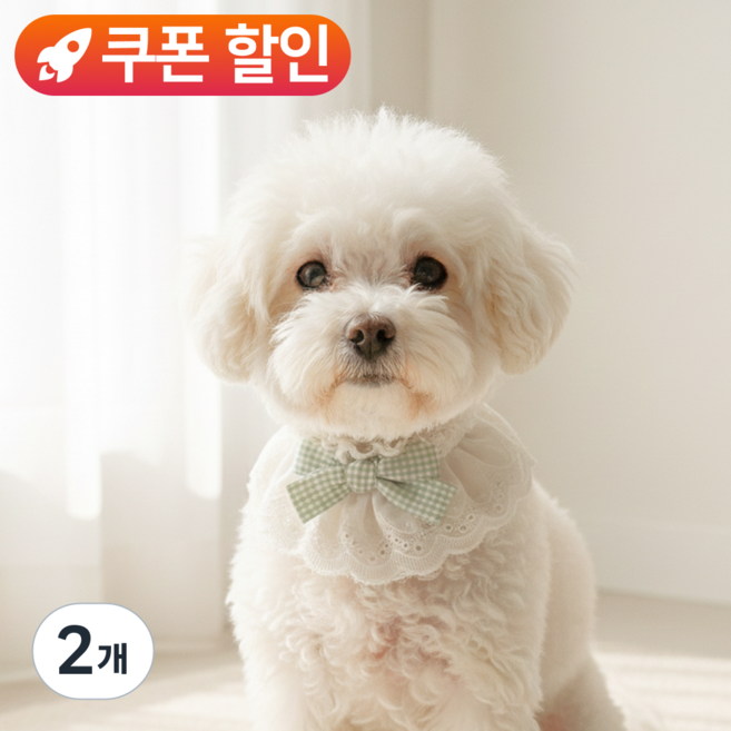 미유틱 강아지 목도리 케이프 고양이 스카프 망토 턱받이, 2개, 1. 레이스 그린