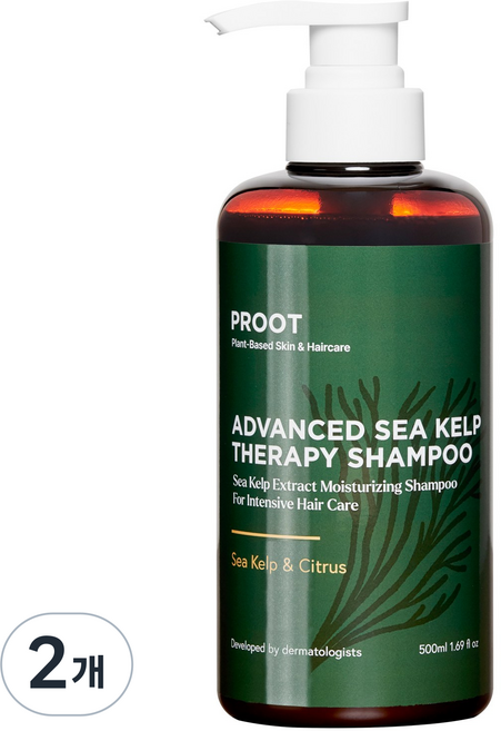 다시마 샴푸 약산성 건성 민감성 두피케어 샴푸, 2개, 500ml
