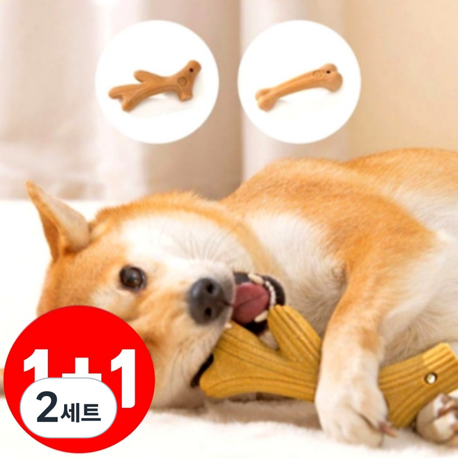 알로페로 강아지 프리미엄 이갈이 우드스틱 장난감 뿔모양+뼈다귀모양, 2세트, 브라운