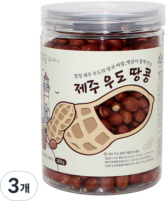 지구마을 제주 우도 볶은땅콩, 3개, 300g