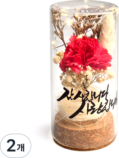 어버이날 카네이션 프리저브드 LED 미니 무드등 유리돔, 2개, 레드