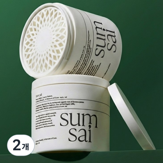 숨사이 편백 실내 탈취제, 300g, 2개