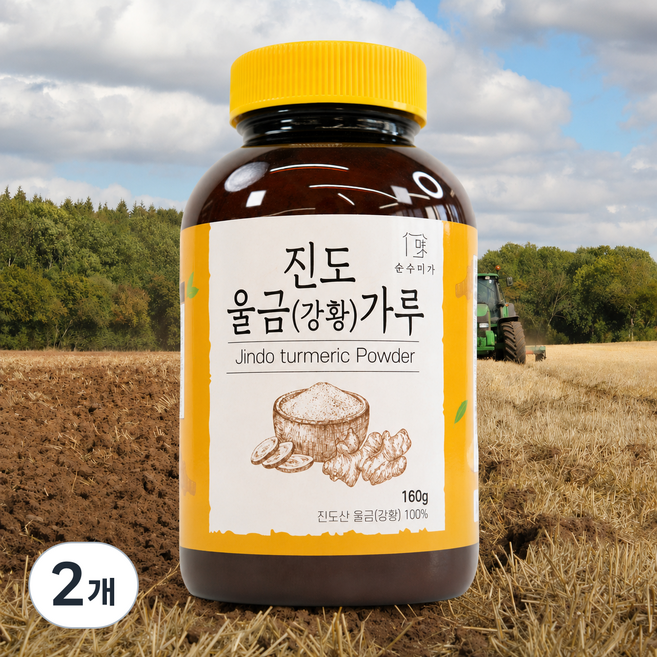 순수미가 국내산 진도 강황가루, 2개, 160g