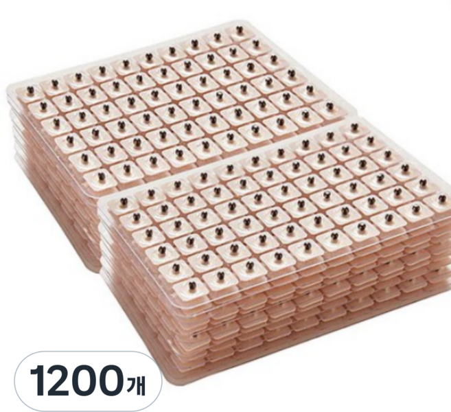 귀지압 패치, 1200개, 귀지압패치