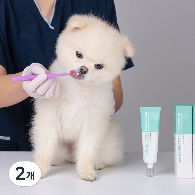 두카메디 셀케어 덴탈 강아지 고양이 바르는 치약 치석 입냄새제거 무향, 2개, 60g