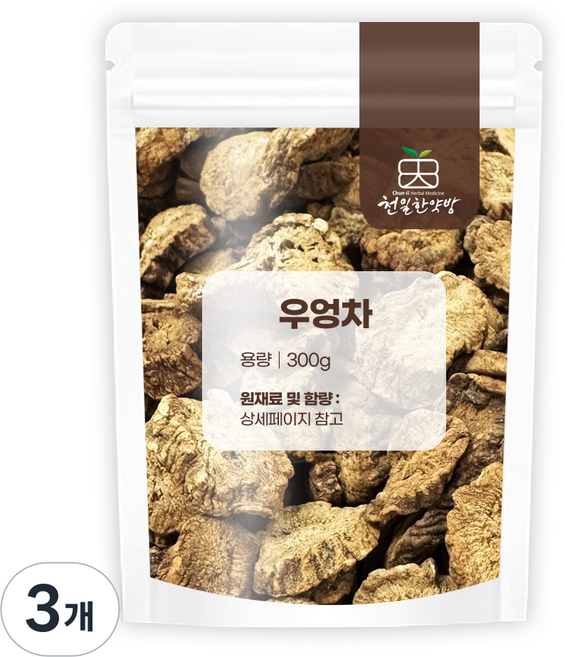 천일한약방 (국내산 진주) 저온 볶은 우엉차, 3개, 300g