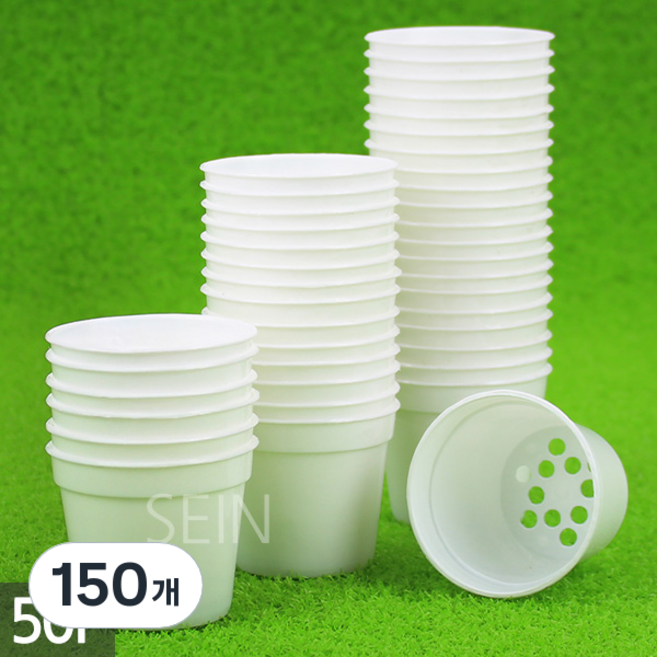 세인화분 미니 플라스틱 원형 화분 - 플분 재배 육묘 모종 저가 싼 아이 행사 포트 식물 다육 다육이 선인장 삽목 분갈이 화이트 흰색, 150개