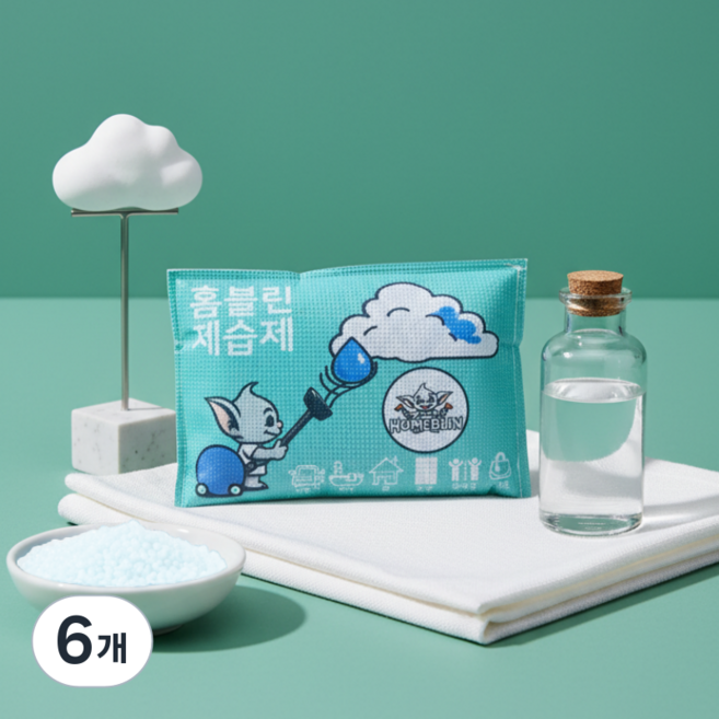 홈블린 반영구 실리카겔 습기제거제 제습제 B155, 100g, 6개