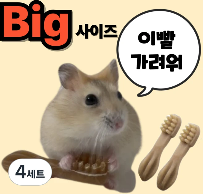 (BEST) 햄스터 이갈이 덴탈츄 칫솔 이갈이 간식 XS, 4세트 - 쿠팡