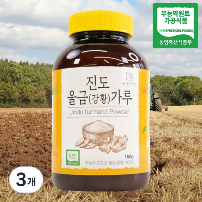 순수미가 국내산 진도 강황가루, 3개, 160g