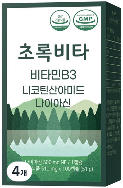 초록비타 고용량 비타민B3 500mg (나이아신아마이드 니코틴산아미드 미국산), 4개, 100정