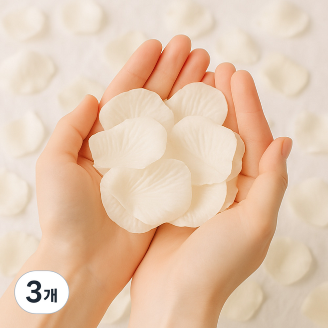 솔레르 웨딩촬영 플라워샤워 꽃잎 1000장, 3개, 아이보리