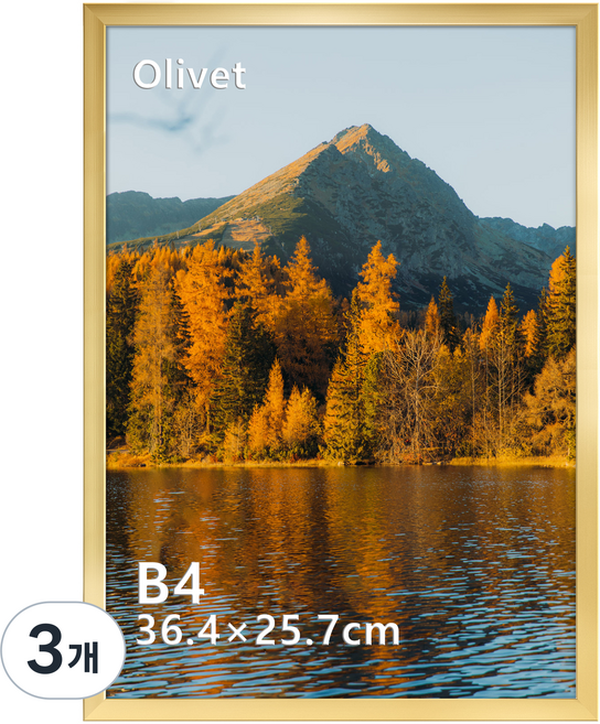 olivet 내추럴 우드 인테리어 액자 벽걸이 탁상용 겸용 무타공 사진틀 B4, 3개, 금색