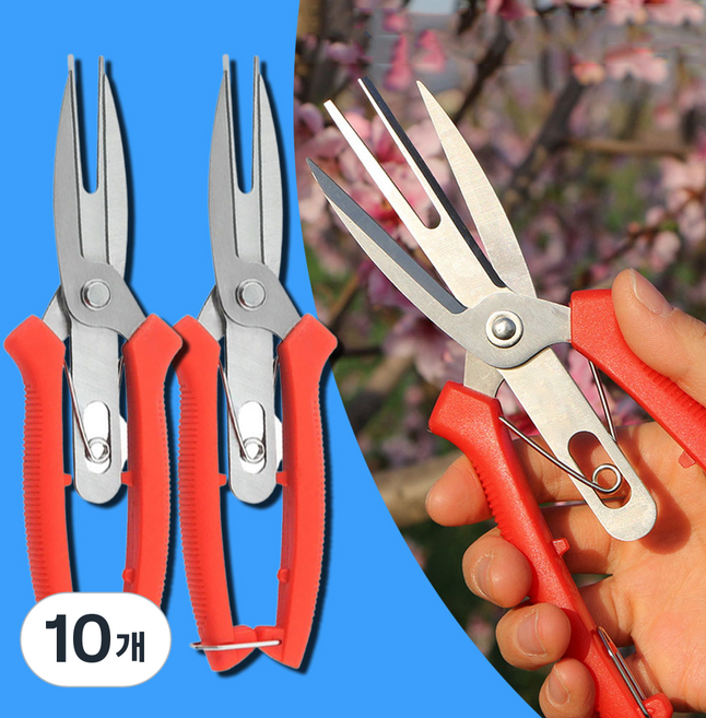 적과 가위 사과 배 과일 나무 알솎기 알솎는 원예 전정 적화, 10개