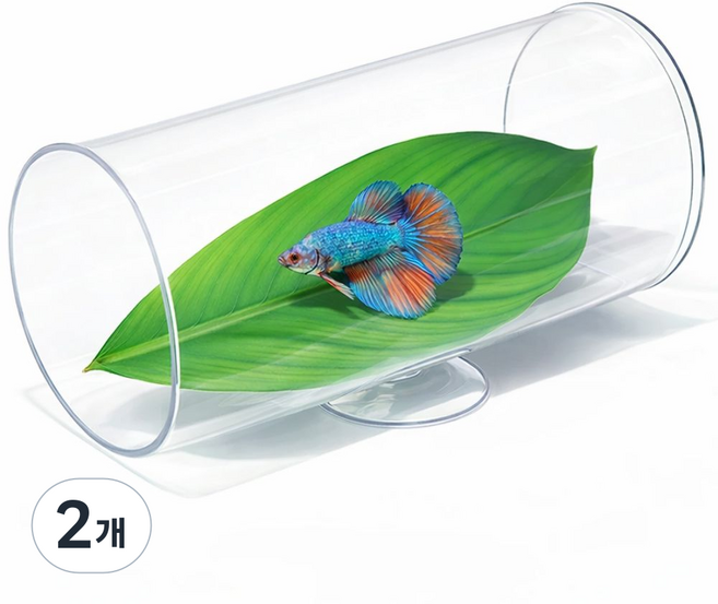 파인다즈 어항 은신처 터널 베타침대, 2개