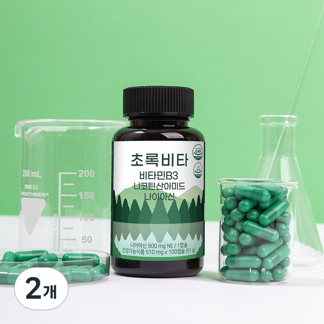 초록비타 고용량 비타민B3 500mg (나이아신아마이드 니코틴산아미드 미국산), 2개, 100정