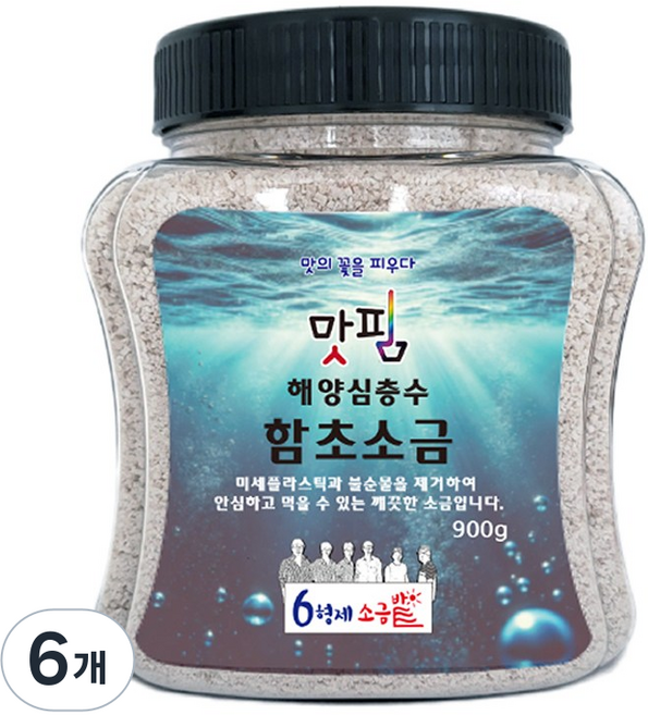 6형제 소금 미세플라스틱 불순물 제거 해양심층수 함초소금, 6개, 900g
