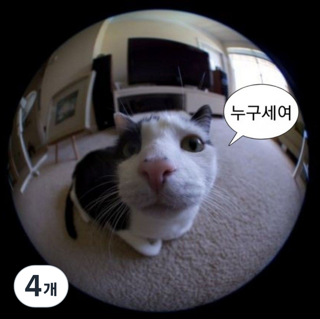 스마트폰 피쉬아이렌즈 아이폰 갤럭시 어안 광각 렌즈 틱톡 릴스 촬영용, 4개, 블랙