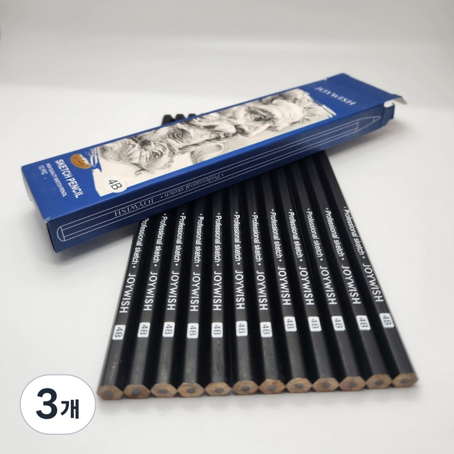 비오엔지 전문가용 드로잉 미술 펜슬 연필 12p 세트, 4B, 3개