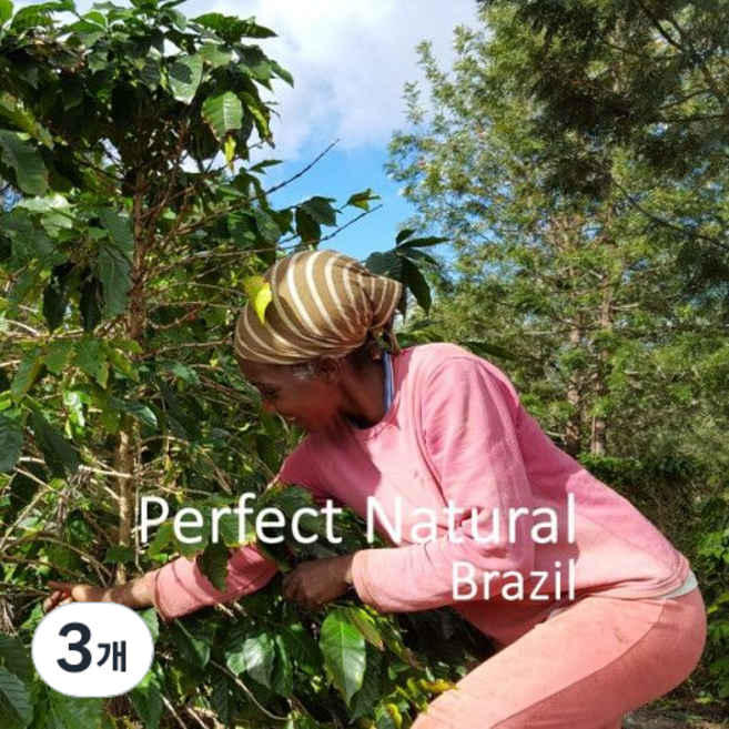 [위트러스트] 브라질 퍼펙트 내추럴 200g Brazil 스페셜티 커피, 홀빈, 3개