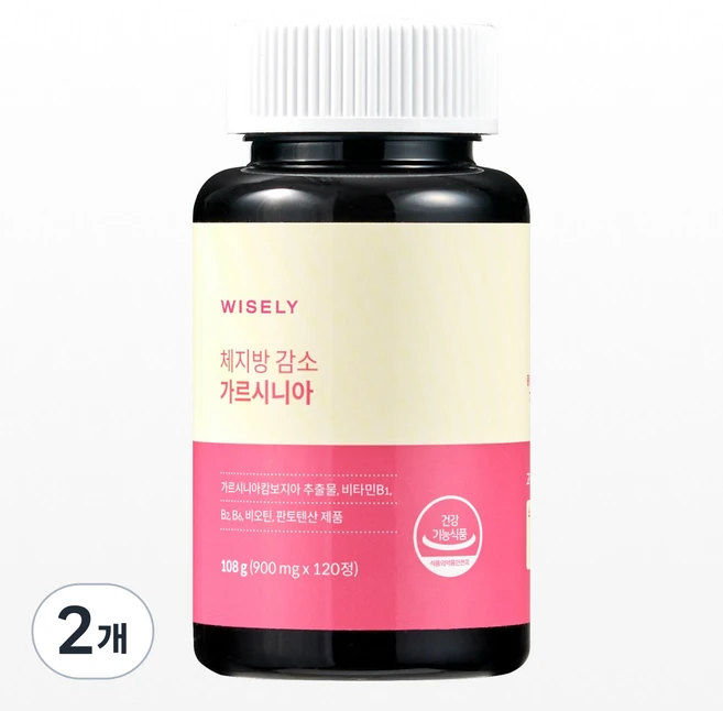 와이즐리 체지방 감소 다이어트 가르시니아, 120정, 2개 - 쿠팡