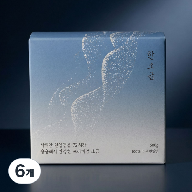 한소금 미네랄 용융소금 72시간 천일염 소금물, 500g, 6개