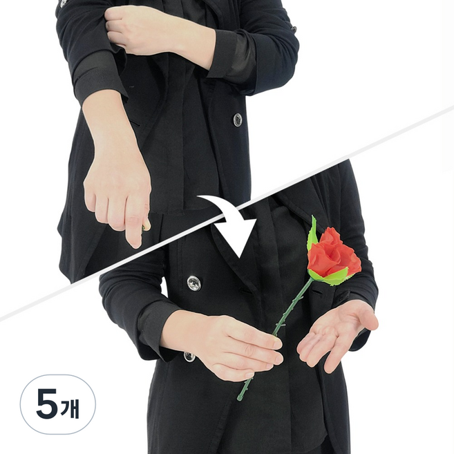 JL매직 고급 어피어링로즈 손에서 장미꽃이 나타나는 신기한 마술 장미마술 프로포즈마술 초보마술도구, 5개