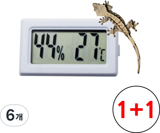 그로우핸즈 파충류 도마뱀 온습도계, 6개, 화이트