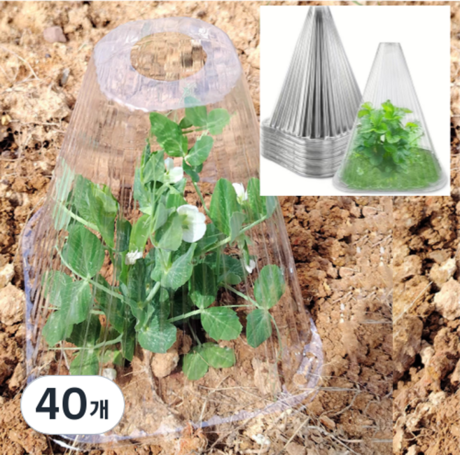 식물 모종 보호 커버 덮개 묘목 보호 덮개, 40개