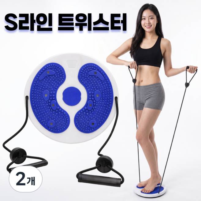 KM SPORTS S라인 트위스트 허리회전 운동기구, 블루, 2개