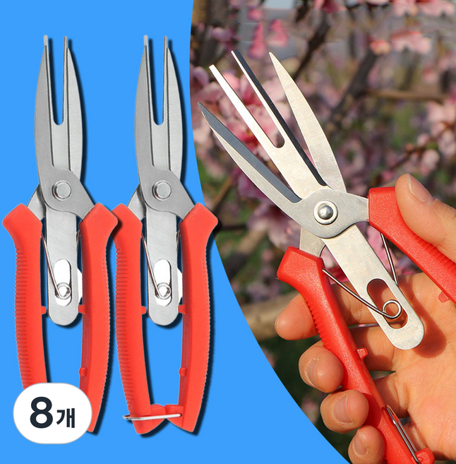 적과 가위 사과 배 과일 나무 알솎기 알솎는 원예 전정 적화, 8개