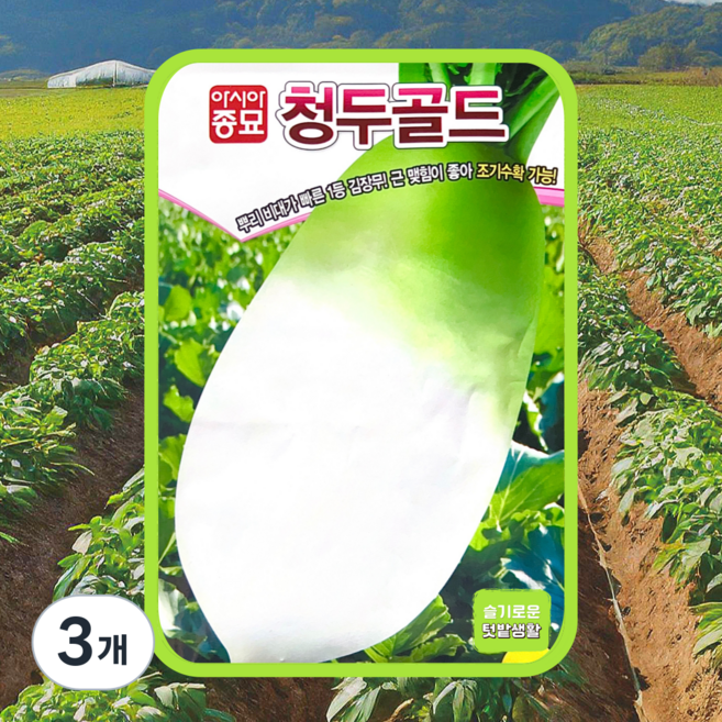 김장 무 씨앗 2000립 아시아종묘 씨 청두 골드 청두무 가을 김장무씨 종자 채소 무씨앗, 3개