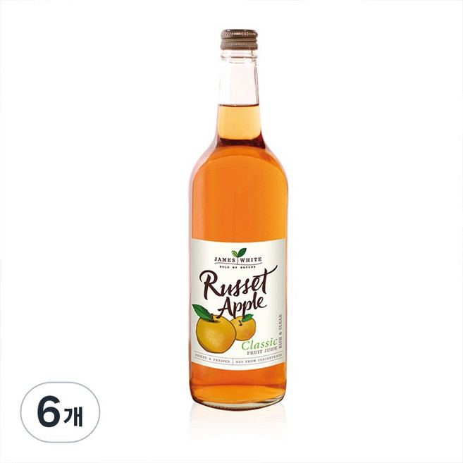 [아스트라 독점] 영국직수입 클래식 애플주스 Russet Apple 달달한맛!!!, 6개, 750ml