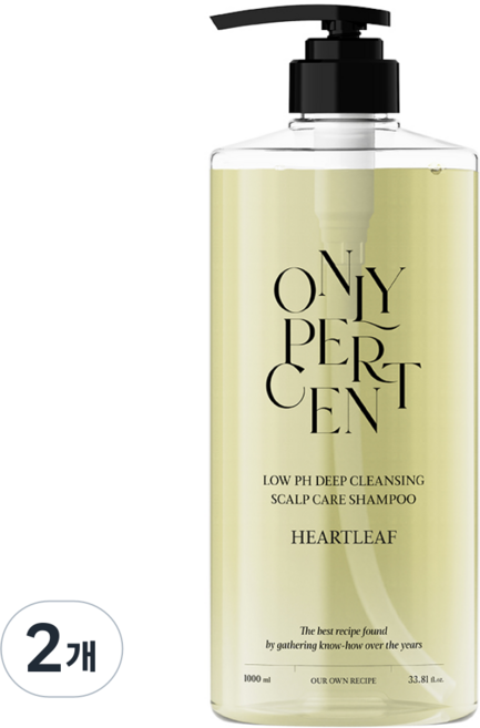온리퍼센트 어성초 40 약산성 딥클렌징 두피 케어 샴푸, 2개, 1L