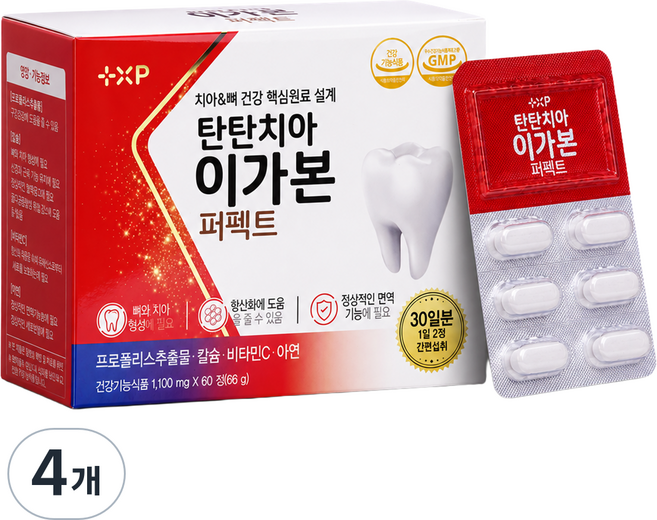 치아건강 탄탄치아 이가본 퍼펙트 칼슘영양제, 4개, 60정