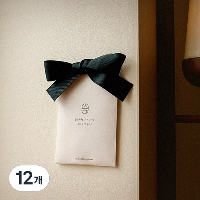 온다숲 천연나무칩 무화과향 차량용 옷장방향제 옷장탈취제 사쉐 6개, 10g, 12개