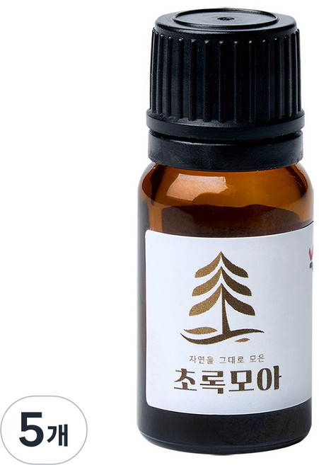 국내산 잎 편백오일, 5개, 10ml