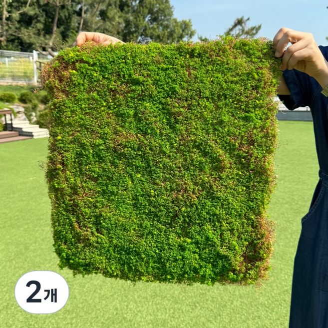 플랜테리어랩 이끼매트 잔디매트 조화 50x50cm 1장, 2개
