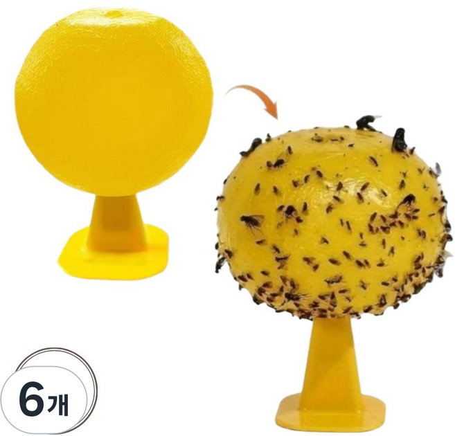 딜리홈 초파리트랩 강력 끈끈이 날파리 제거, 6개