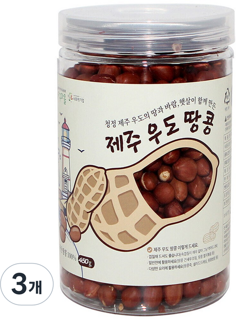 지구마을 제주 우도 볶은땅콩, 3개, 450g