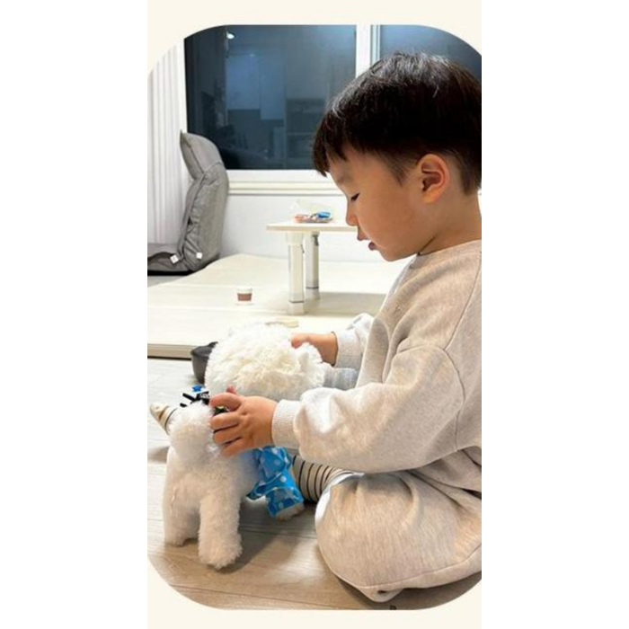 캐스비 플레이 산책하는 강아지 크림 세트 2608 후기 분석 - 배터리 입구