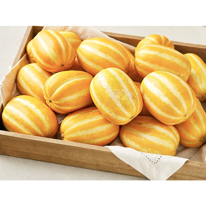 성주 가정용 실속 참외, 5kg 후기 분석 - 크기 비교 사진