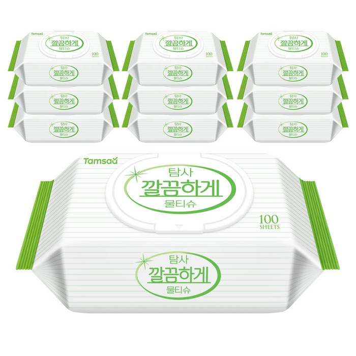 탐사 깔끔하게 다용도 물티슈 캡형 50gsm, 100매, 10개