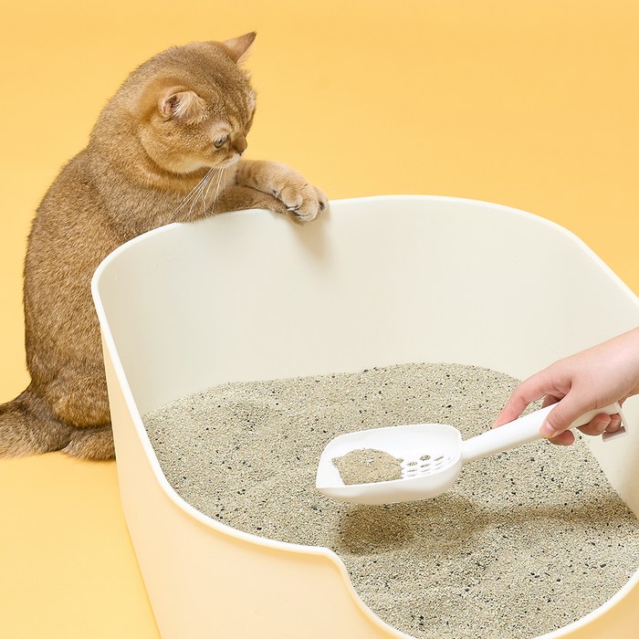 쉬즈곤 먼지아웃 벤토나이트 고양이 모래, 6kg 후기 분석 - 제품 측면 정보