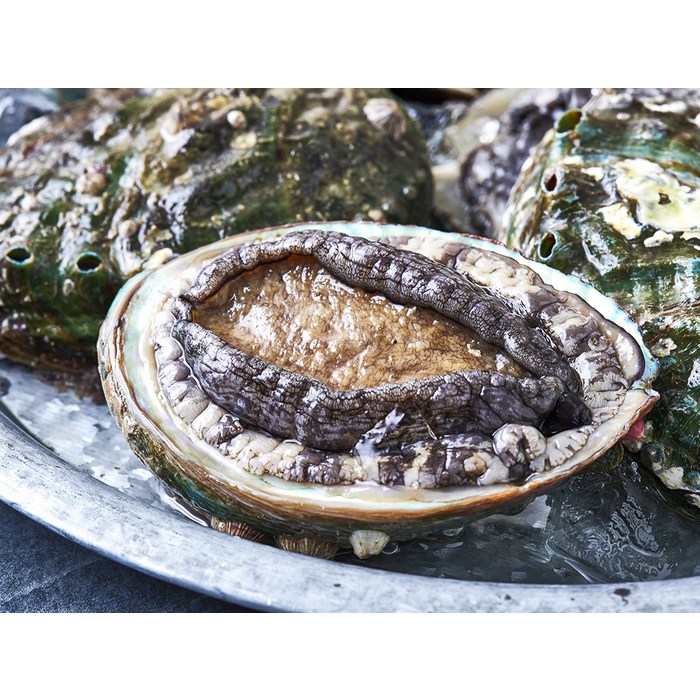 완도맘 활전복 (냉장), 1kg 내외(특대) 후기 분석 - 산소팩 싱싱 포장