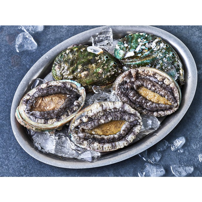 완도맘 활전복 (냉장), 1kg 내외(특대) 후기 분석 - 살아 움직이는 선도 높은 전복들