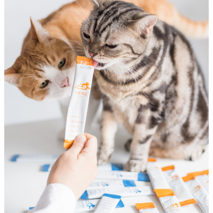 프로젝트21 고양이 하루채움 종합 영양제, 닭고기맛 후기 분석 - 제품 박스 디자인 및 정품 인증